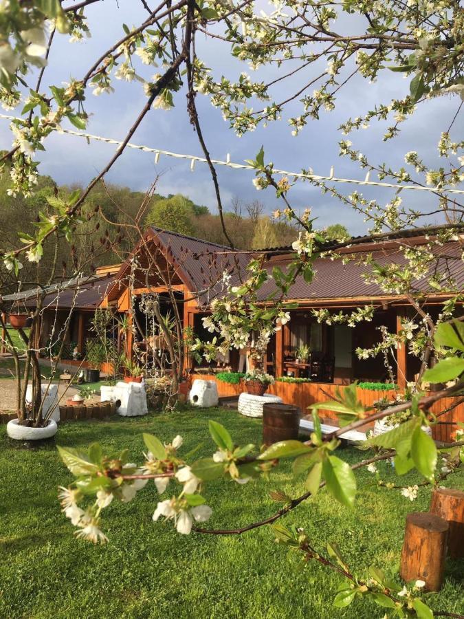 Lângă Stână Curtea de Argeş Exterior foto